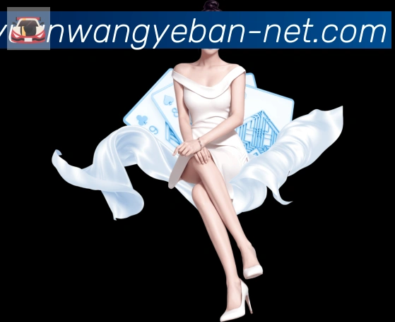 奖项证书